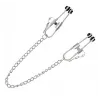 Generique Pinces pour tétons Tit Lock